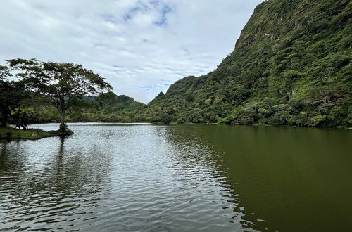 Photo 33 - La Maracuyá