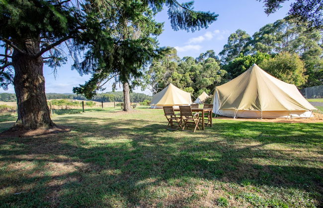 Forrest Holiday Park - Foto 44