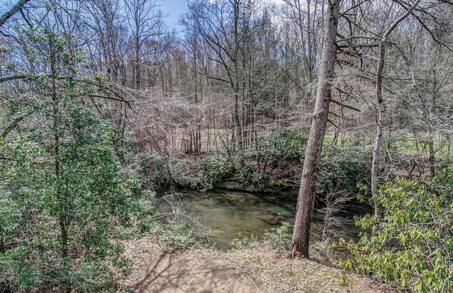 Blairsville River Cabin - Photo 37