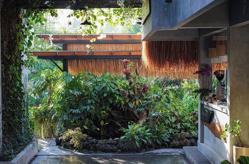 Photo 3 - Leafy Lofts Canggu