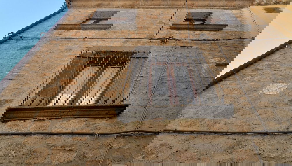 Image principale