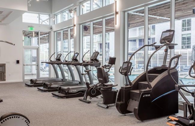 Austin Breathtaking 1BD 1BA 2nd Street District Apartment - Photo 21