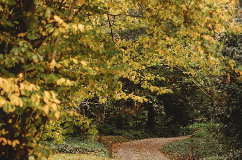 Photo 78 - Weardale Estate