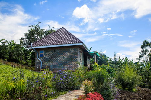 Photo 4 - Apuuli Safaris & Cottages