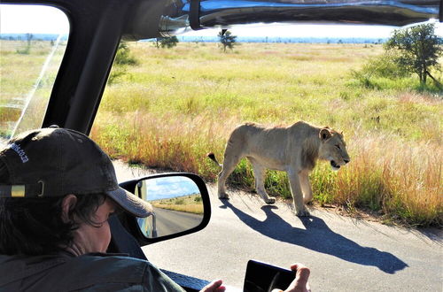 Foto 45 - Braai Safaris Lodge