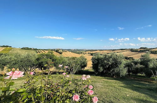 Photo 46 - Farmhouse Villasofia Senigallia - la Ginestra 160sqm 3 Bedrooms 12 Beds