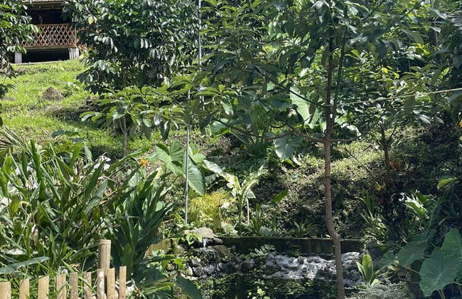 The Twin Studio Cottages - Photo 39