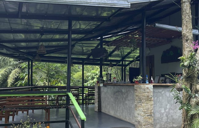 The Twin Studio Cottages - Photo 41