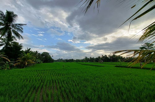 Foto 61 - Shivananda Antique Villas by EPS