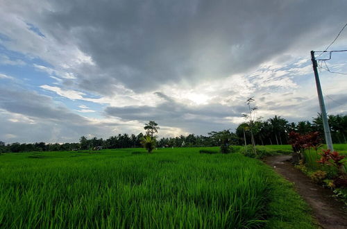 Foto 59 - Shivananda Antique Villas by EPS