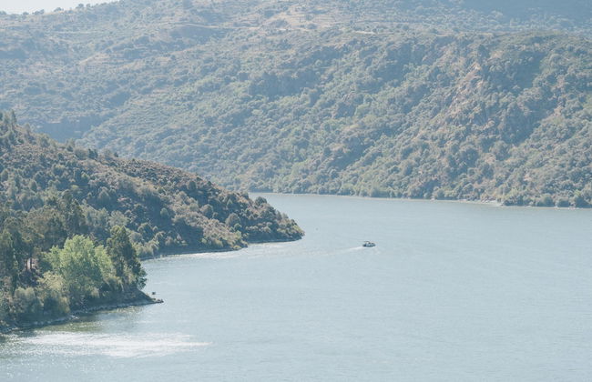 Casa das Arribas - Rio Douro aos seus pés - Foto 52