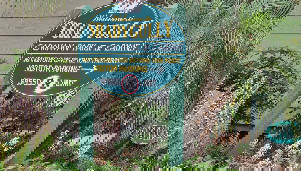 Image principale