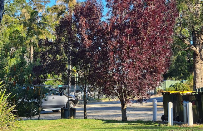 Mallacoota's Shady Gully Caravan Park - Foto 44