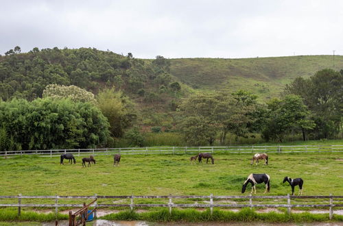 Photo 55 - Farm in Pouso Alto MG Tranquility and Comfort