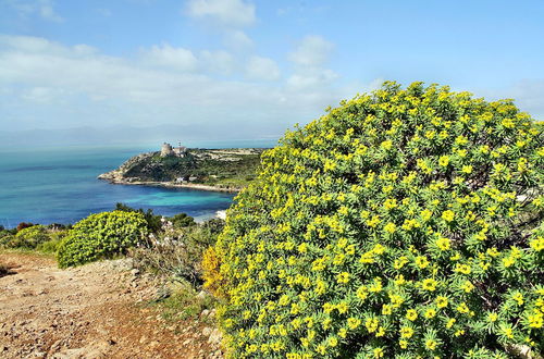 Photo 44 - 7 Ala Birdi Cottage 150m From The Sea