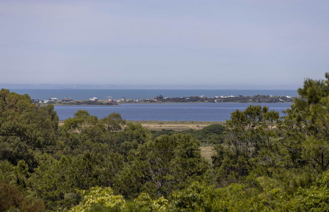 La Picarona - Photo 69