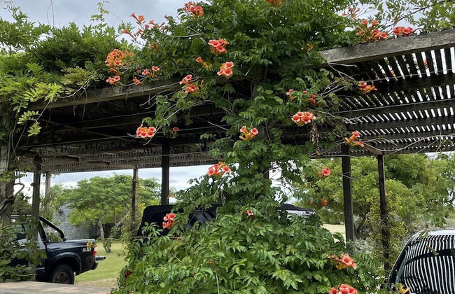 La Picarona - Photo 70