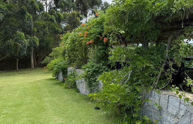 La Picarona - Photo 76