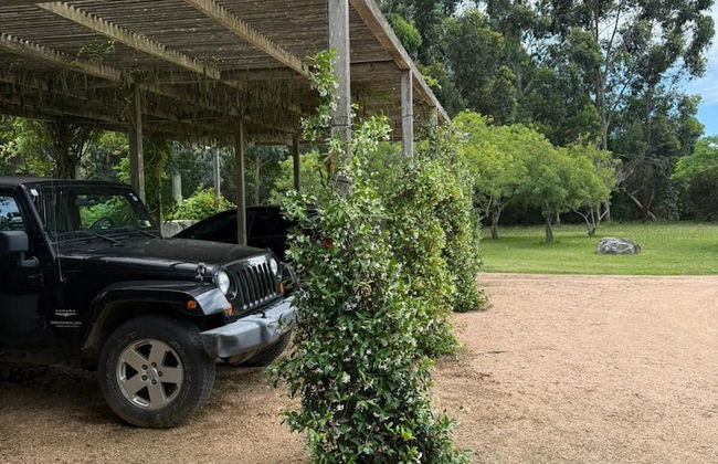 La Picarona - Photo 77