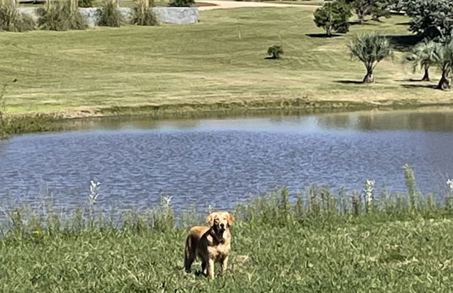 La Picarona - Photo 12