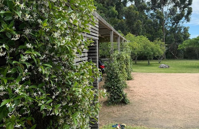 La Picarona - Photo 78