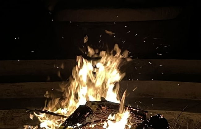 La Picarona - Photo 36