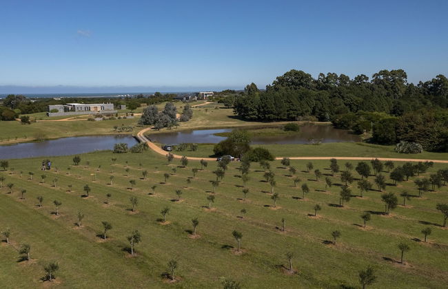 La Picarona - Photo 68