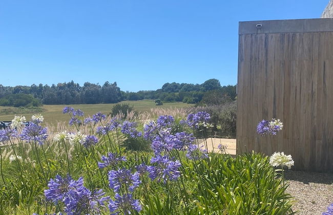 La Picarona - Photo 4