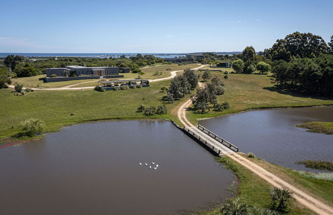 La Picarona - Photo 67