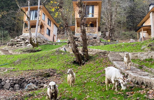 Berona Dağ Evleri - Foto 19