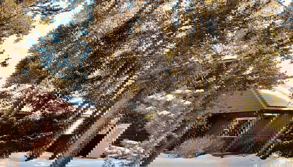 Primary image