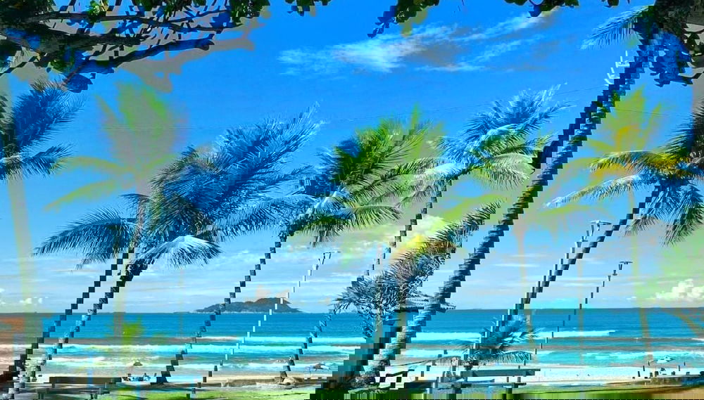 Imagem principal