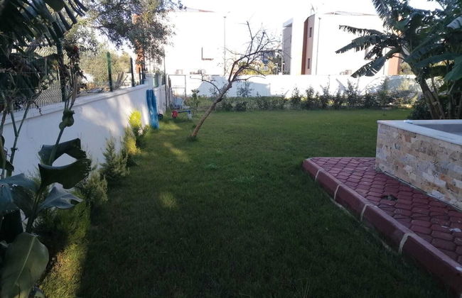 Orange and Lemon Homes - Foto 15