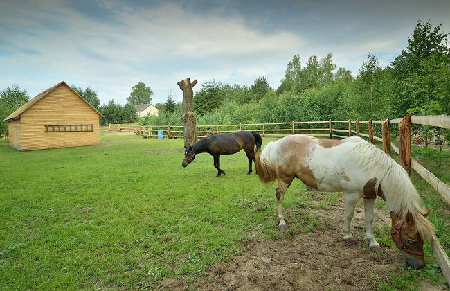 Holiday Home in Skrzynia With Terrace - Foto 22