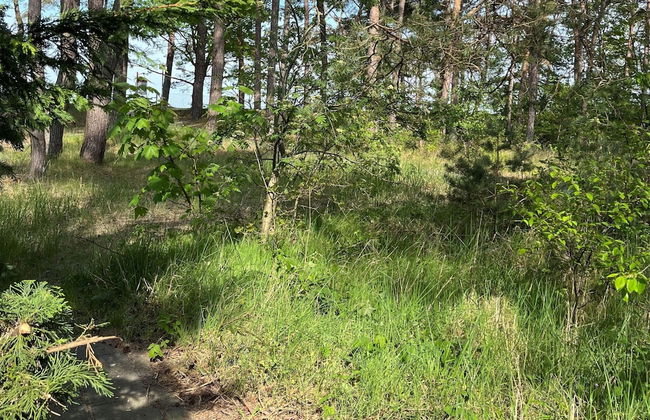 Holiday Home With Direct Access to the Beach - Foto 25
