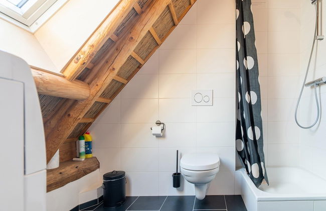 Farmhouse in Staphorst With Sauna - Foto 19