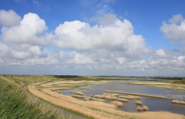 Coastal Apartment in Westkapelle - Foto 22
