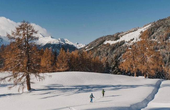 Holiday Home in Katschberg ski Area in Carinthia - Photo 34