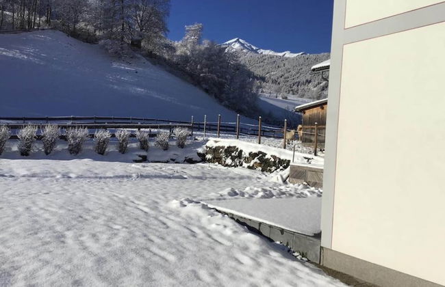 Holiday Home in Katschberg ski Area in Carinthia - Photo 25