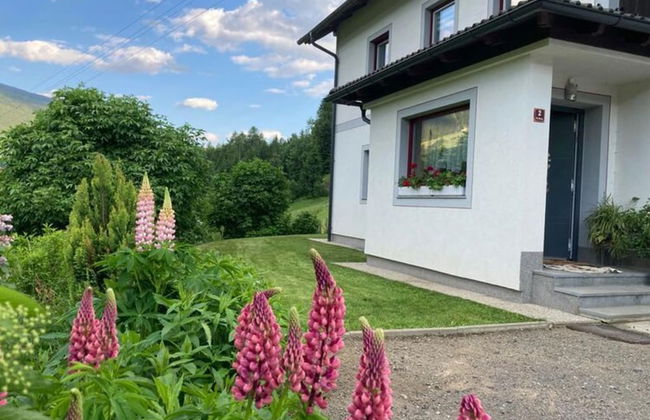 Holiday Home in Katschberg ski Area in Carinthia - Photo 20