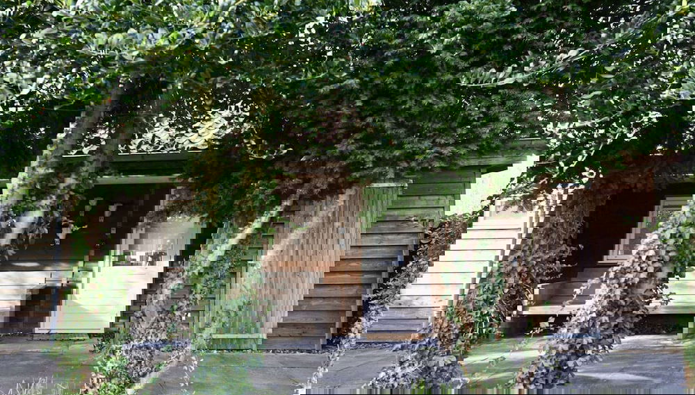 Imagem principal