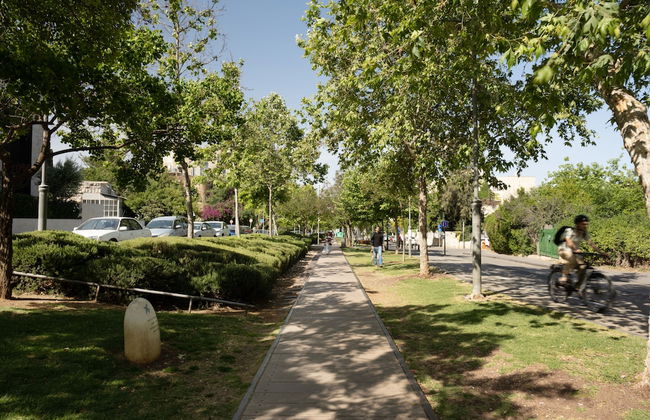 The Y House - Foto 65