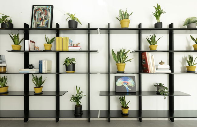 The Y House - Foto 77