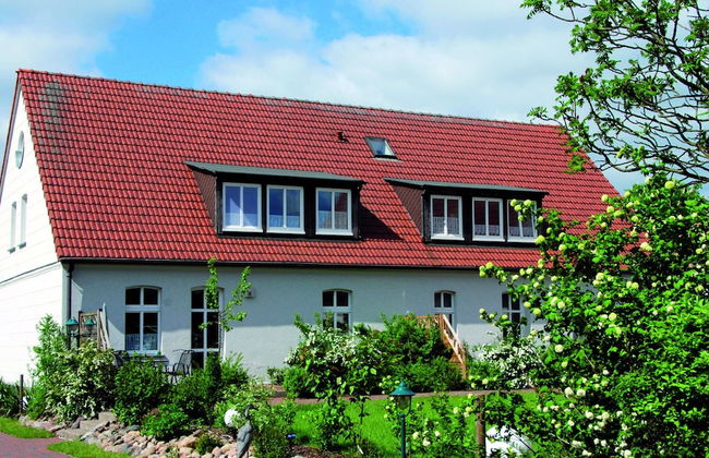 Reihenhaus mit Wlan in Buchholz am Muritzsee - Foto 1