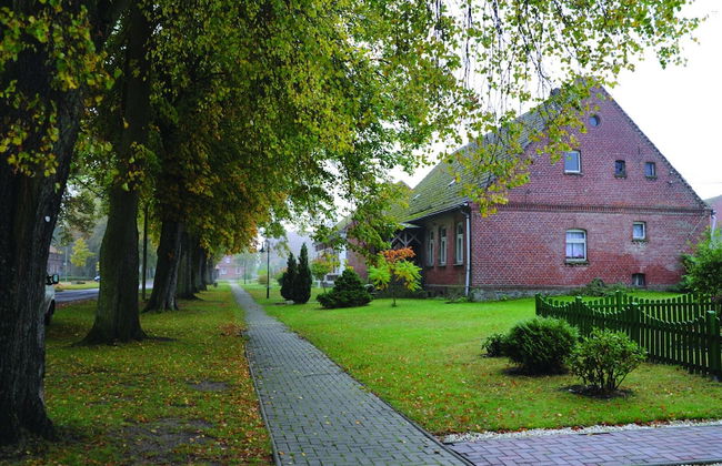 Reihenhaus mit Wlan in Buchholz am Muritzsee - Foto 24
