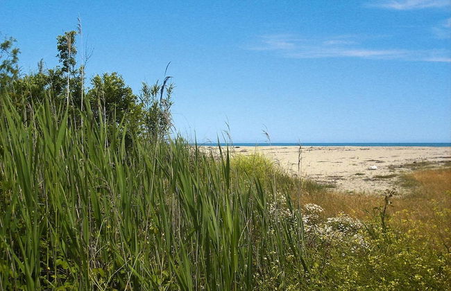 Apartment in Ghisonaccia Near Sandy Beach - Foto 17