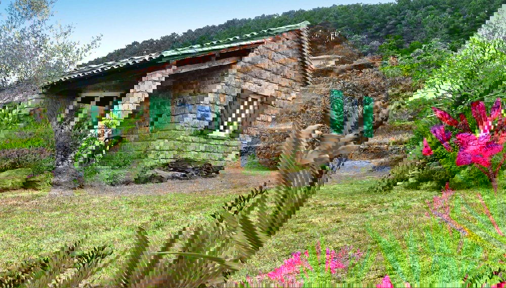 Image principale