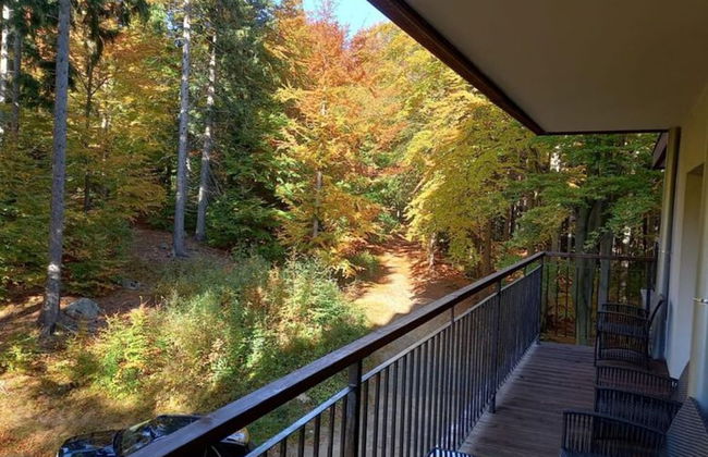 Apartment in Szklarska Poreba With Mountains View - Foto 18