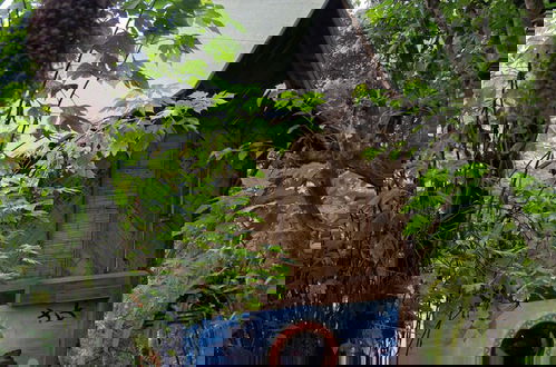 Foto 10 - Impresionante vista 360 I Cabañas Cochapunko