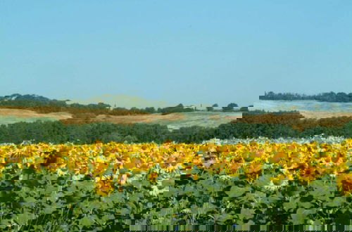 Foto 70 - 360 Degree View Over the Tuscan Hills